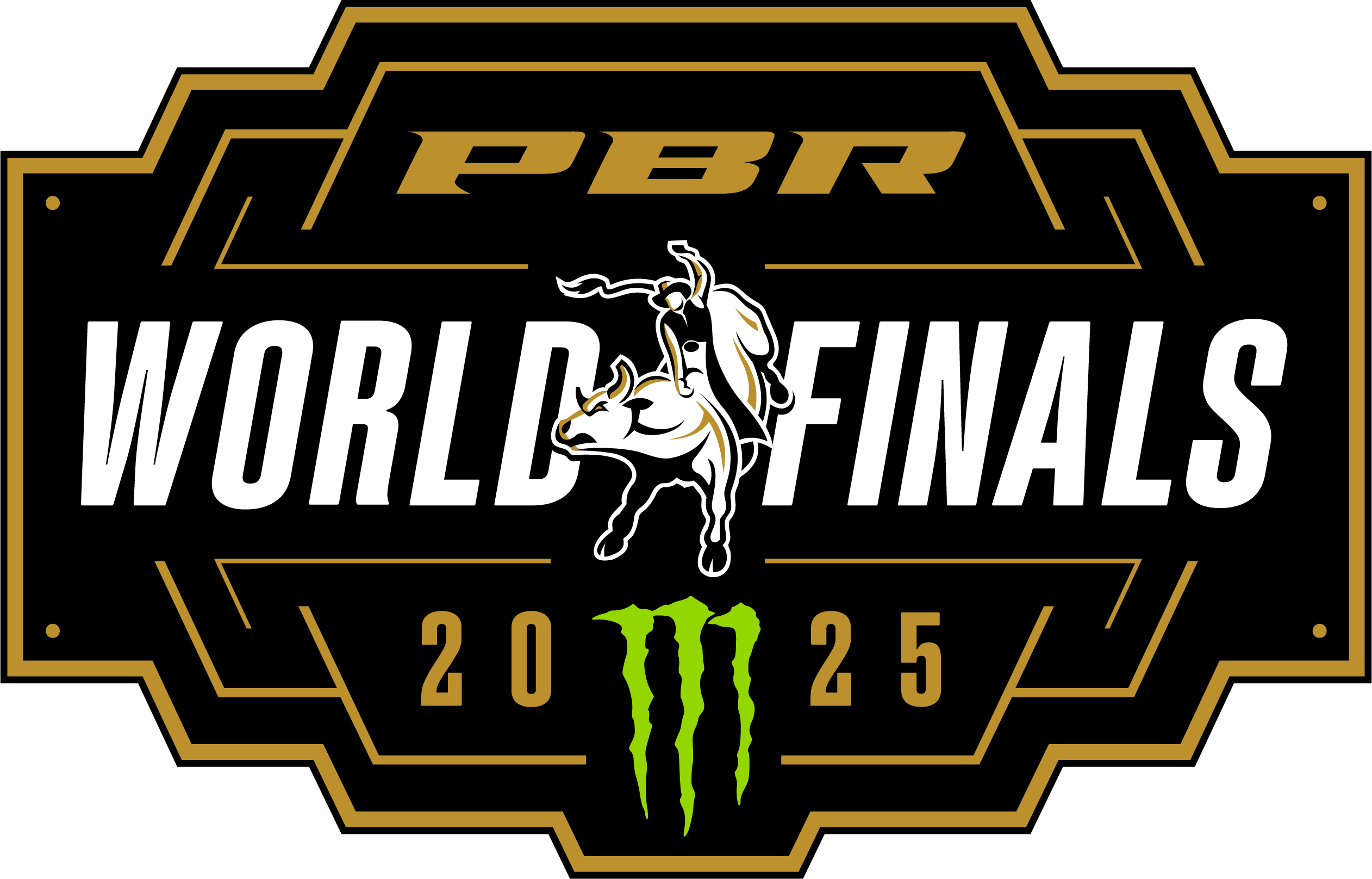 PBR World Finals 2024